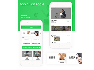 video teaching pet