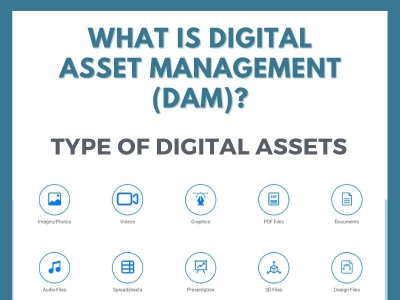 what-is-digital-asset-management-dam-by-megha-shah-on-dribbble