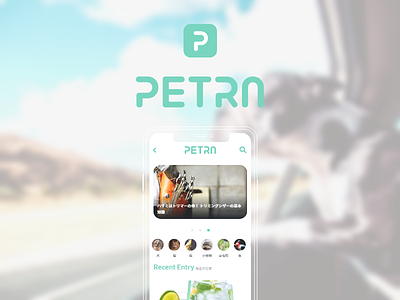 Petra Magazine logo ui ux design webdesign