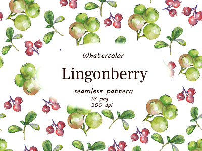 Lingonberry set design graphic design illustration pattern whatercolor