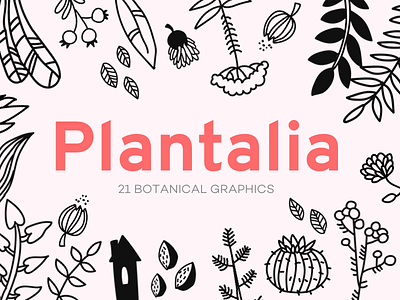 Plantalia - 21 botanical graphics botanical branding cacti creative market flowers forest garden graphics invitations nature plants wedding