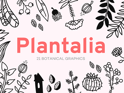 Plantalia - 21 botanical graphics