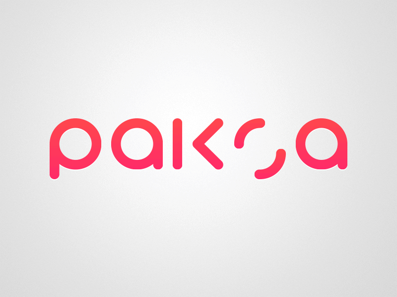 Paksa Studios circles logo simplicity webdesign wordmark