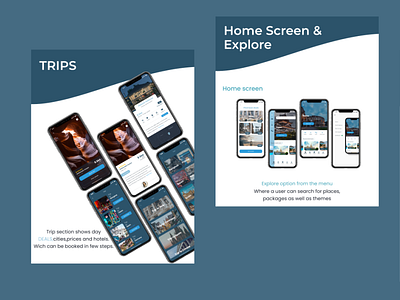 Travel Guide Mobile App Concept / UX/UI Design beautiful branding design figma graphic design logo mobileapp perfect rate tarvelapp top travel uxdesign