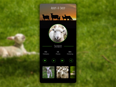 Daily UI // Adopt-A-Sheep 006 dailyui design ui ux