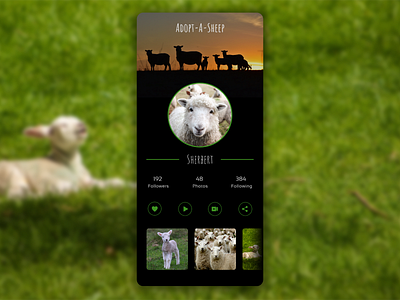 Daily UI // Adopt-A-Sheep