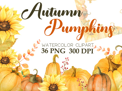 Autumn watercolor pumpkins set autumn design flower elements hand draw illustration pumpkins watercolor