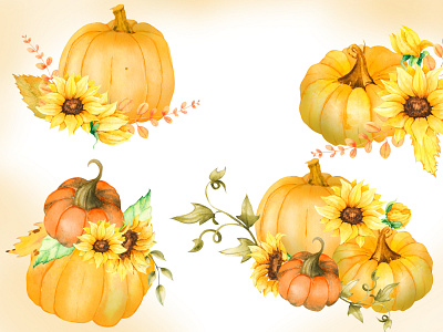 watercolor autumn pumpkins autumn design flower elements hand draw illustration pumpkins watercolor
