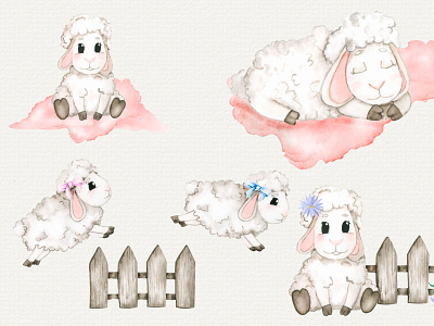 Watercolor sheeps clipart hand draw illustration sheeps watercolor