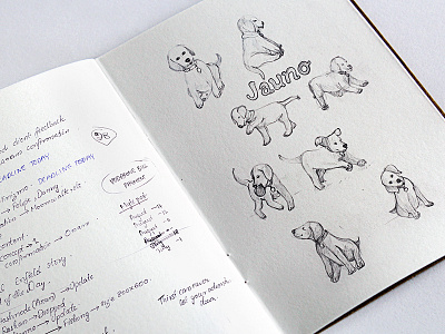 Character Design Sketches character design dog play puppy sketch