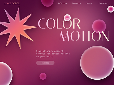 The main screen of the SPACE COLOR company website