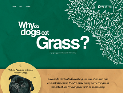 Why do dogs eat grass? design illustration ui ui design ux web design
