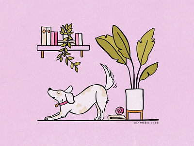 Yoga Dog animalart digitalart illustration illustrator procreate