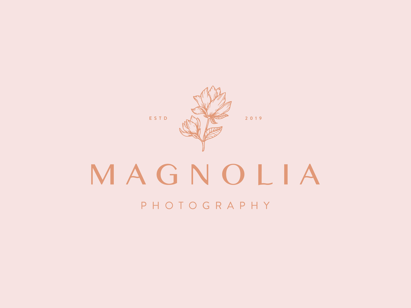 Magnolia Photography by Emily Johnston on Dribbble