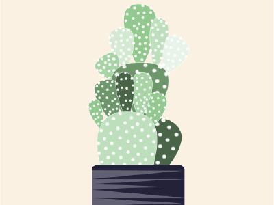 Cactus Plant