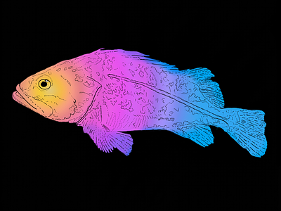 Fishy Fish illustration photoshop poster