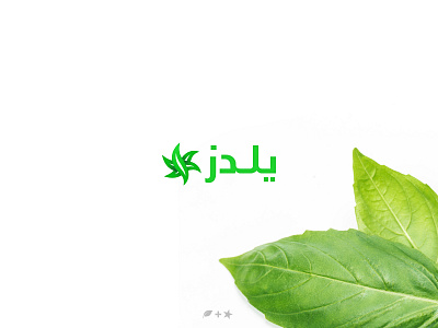 Yildez 2 green icon leaf letter logo logos simple y