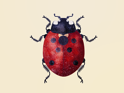 ladybug design illustration illustrator ladybug texture vector art