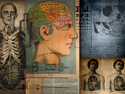 Medical Art art ephemera etchings fizzlestock illustrations medical retro retro supply retro supply co vintage