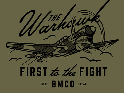 Warhawk air force airplane bmco buffalo ny curtiss design illustration jet plane war
