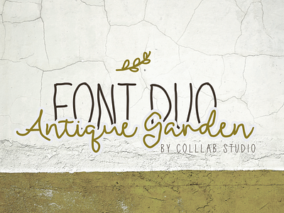 Antique Garden | A Font Duo colllab colllab studio font duo hand drawn typography script font family wedding font collection
