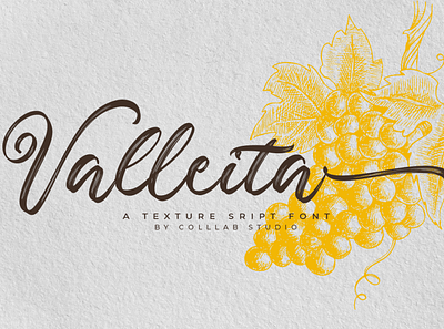 Valleita Script | A Textured Script Font bold font brush font colllab colllab studio design first shot font graffiti font handlettered illustration logo typography urban font wedding font collection