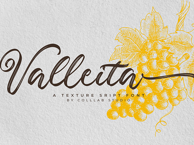 Valleita Script | A  Textured Script Font