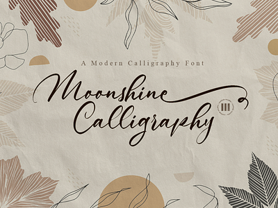 Moonshine Calligraphy - A Modern Calligraphy Font bold font brush font colllab colllab studio design font illustration logo typography wedding font