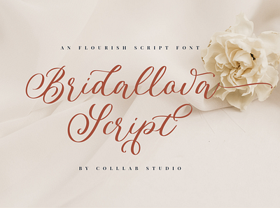 Bridallova Script - A Flourish Script Font bold font branding brush font colllab colllab studio design flourish font font typography wedding wedding font