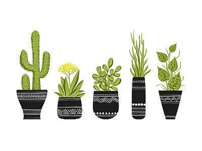 Set of cute flowerpots. Vector illustrations