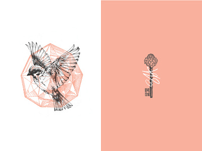 BirdSetFree bird collage free illustration key moodboard pink script vintage