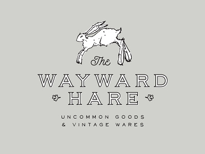 The Wayward Hare by Casey Yoshida on Dribbble