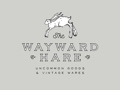 The Wayward Hare branding hare illustration logo rabbit script typography vintage