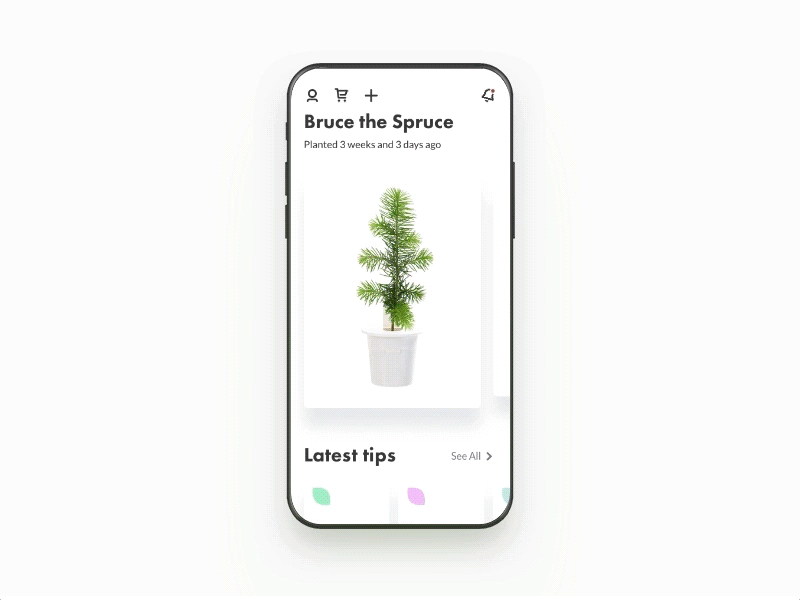 Plant peek cards android animation card detail ios iphone minimal mobile peek plants ui ux