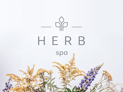 The Herb Spa 🌿 brand branding clean design geometric graphic grey icon identity logo logotype minimal modern monochrome natural nature presentation simple spa vector