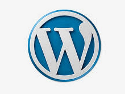 Custom WordPress Development Services for Plugin Development