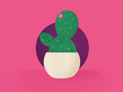 Cactus cactus design icon illustration logo sketch succulent vector