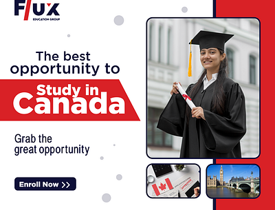 Flux Education Group study in Canada 3d animation banner branding design graphic design illustration logo motion graphics ui vector