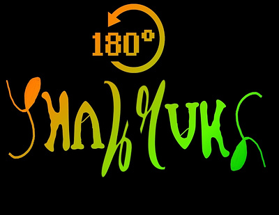 Shahrukh 180° 3d graphic design logo