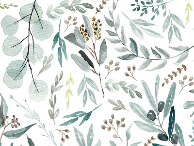 Eucalyptus original watercolor botanic botanical leaves nature pattern watercolor