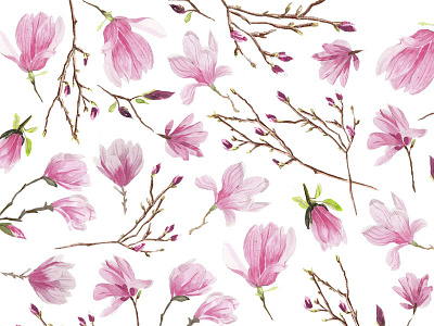 Magnolias botanic floral flowers nature pattern pink spring