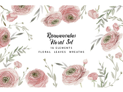 Rannunculus floral set clipart elements flowers illustration objects set template watercolor