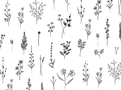Wildflowers art art print black and white botanic drawing floral flowers illustration ink pattern tattoos