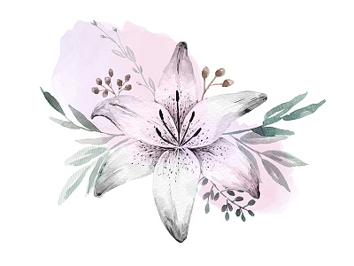 Lilium & Eucalyptus botanic drawing floral flowers illustration ink nature tattoo watercolor