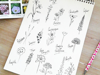 Ink wildflowes drawing flowers hand drawing illustration ink pattern