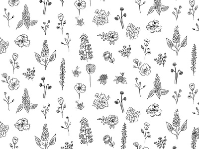 Wildflowers III botanic drawing floral flowers illustration ink ipad ipad pro ipadpro nature pattern procreate procreateapp vector
