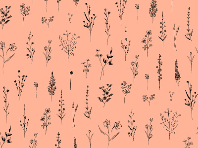Summer Wildflowers black botanic design drawing floral flowers illustration leaves pattern pink