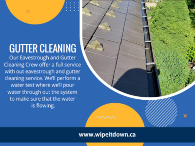 Gutter Cleaning gutter cleaning