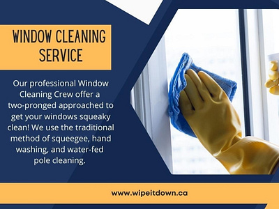 Window Cleaning Service business