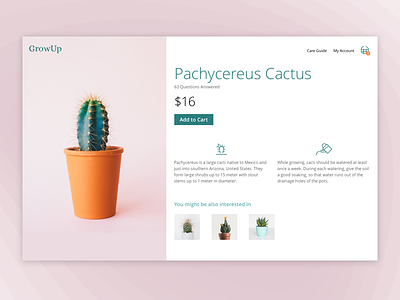 Daily UI #012 - eCommerce 012 cactus dailyui ecommerce icons plant ui ux web